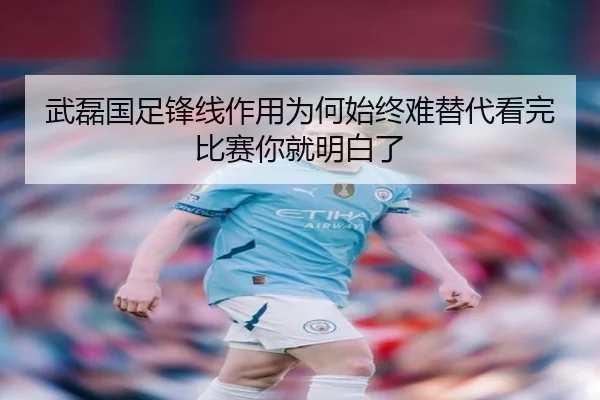 武磊国足锋线作用为何始终难替代看完比赛你就明白了 - NBA